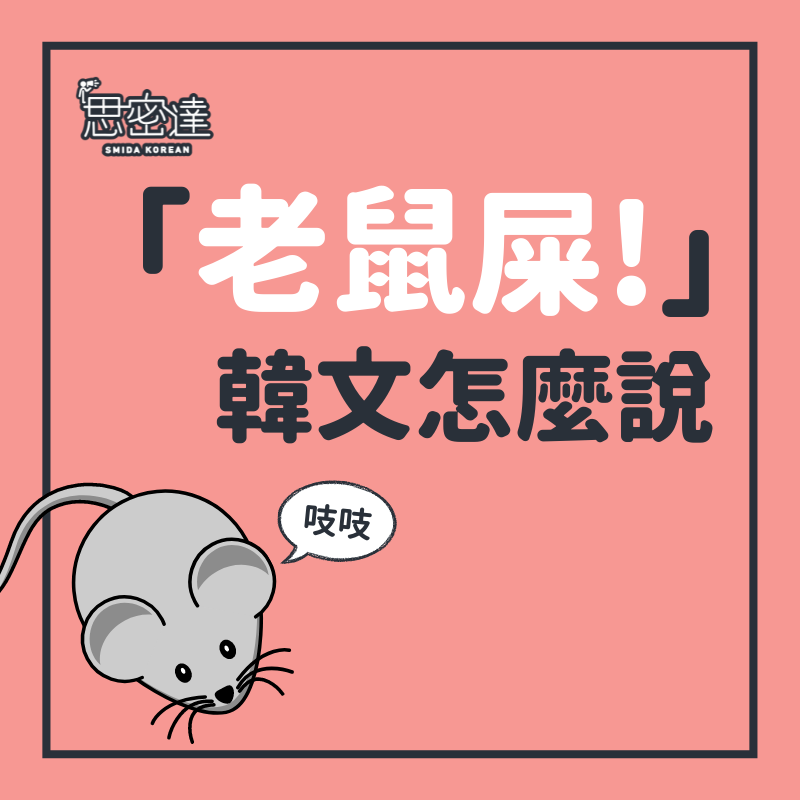 【 思密達｜『老鼠屎!』韓文怎麼說？ 】⠀|一周一韓文