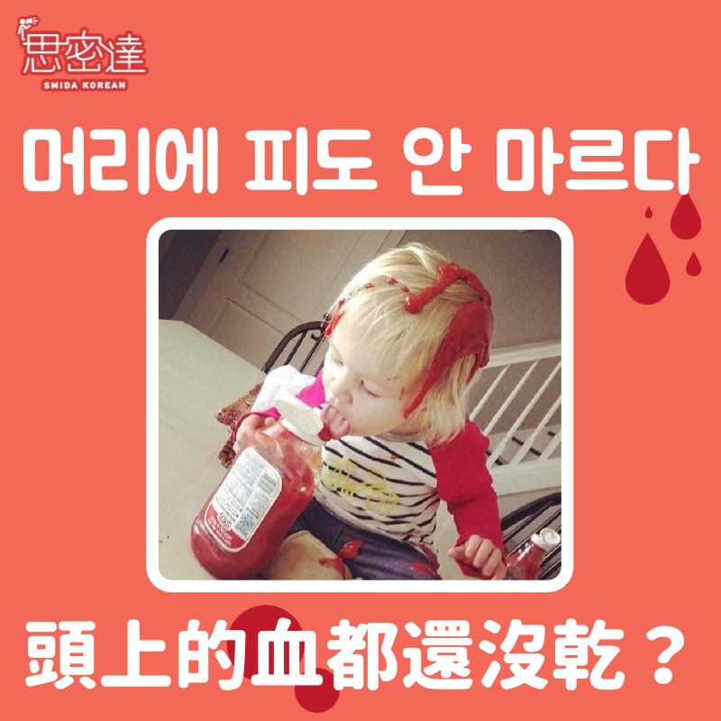 【 思密達｜『 머리에 피도 안 마르다 』頭上的血都還沒乾？】⠀|一周一韓文